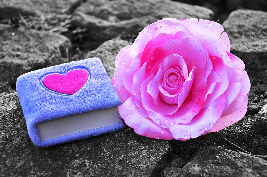 Pink Rose and Blue Heart Diary on Rocks