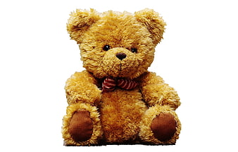 Cute Brown Teddy Bear with Red Bow Tie Isolated on White