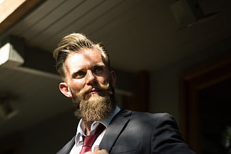 Handsome Bearded Man in Suit Adjusting Tie