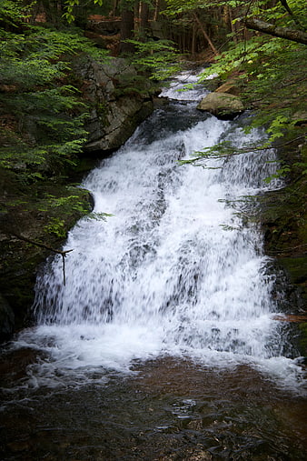 Serene Forest Waterfall Cascading Over Rocks