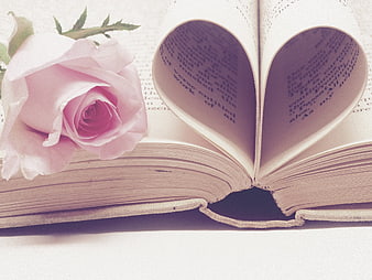 Pink Rose on Open Book with Heart Shape Pages