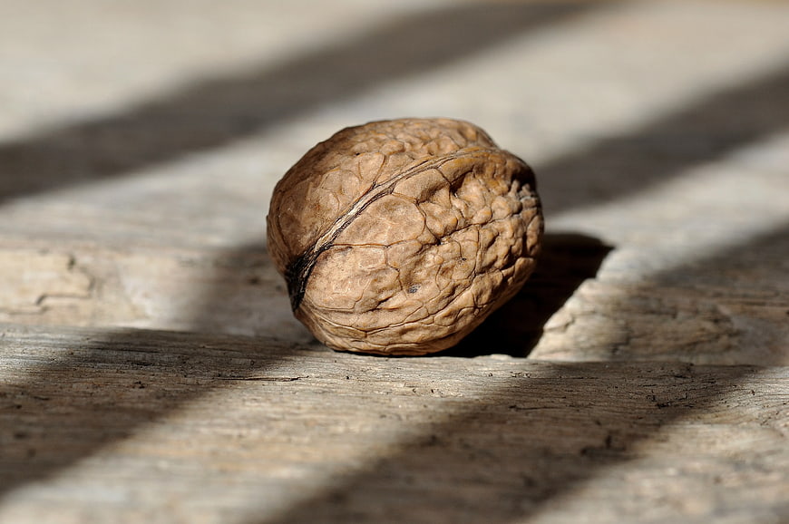 Single Walnut on Weathered Wooden Surface