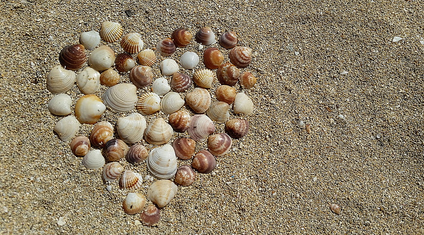 Heart shape made of seashells on sandy beach