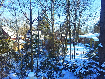 Snowy suburban neighborhood with bare trees and houses