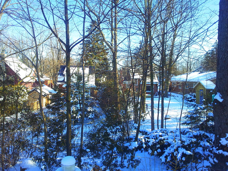 Snowy suburban neighborhood with bare trees and houses