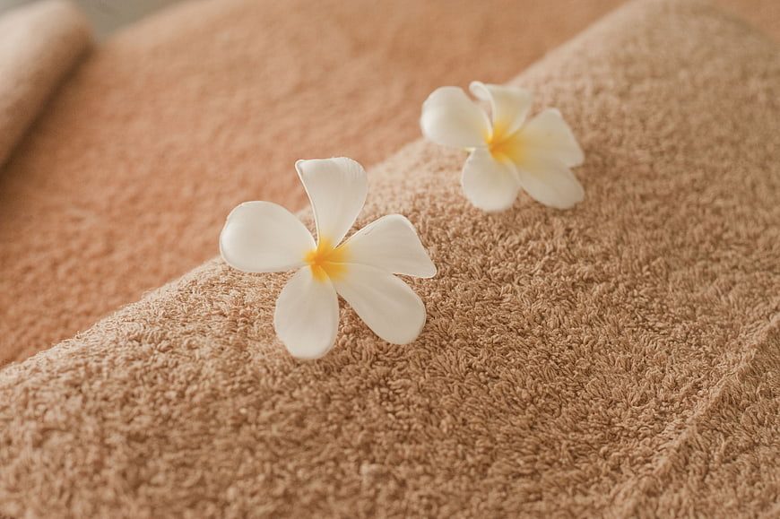 White Plumeria Flowers on Beige Spa Towel
