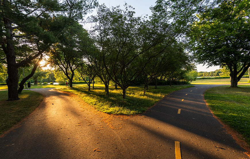Sunlit Forked Path in Green Park at Golden Hour
