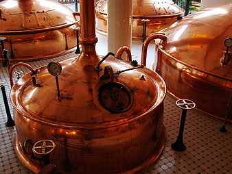 Vintage Copper Brewery Kettles in Industrial Setting