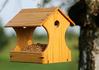 Wooden bird feeder hanging in garden with seeds