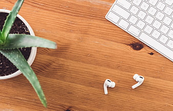 Flat lay of wireless earbuds, keyboard, and aloe plant on wooden desk