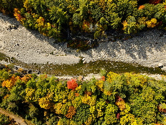 Aerial View of Colorful Autumn Forest and Rocky Riverbed