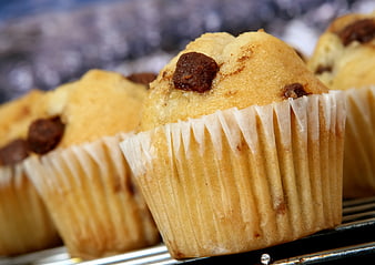 Close-up of fresh chocolate chip muffins on a cooling rack