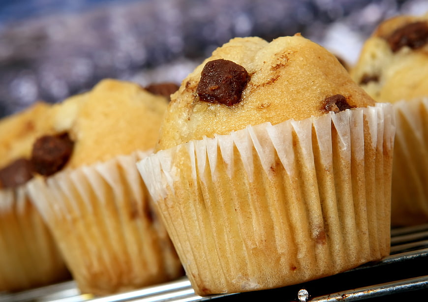 Close-up of fresh chocolate chip muffins on a cooling rack