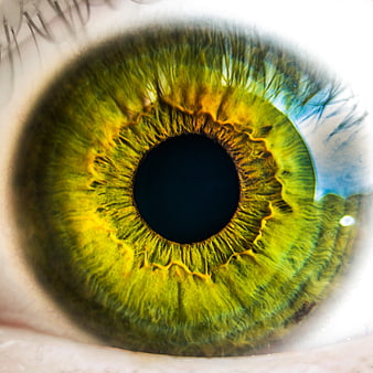 Extreme Close-Up of Vivid Green Human Eye Iris