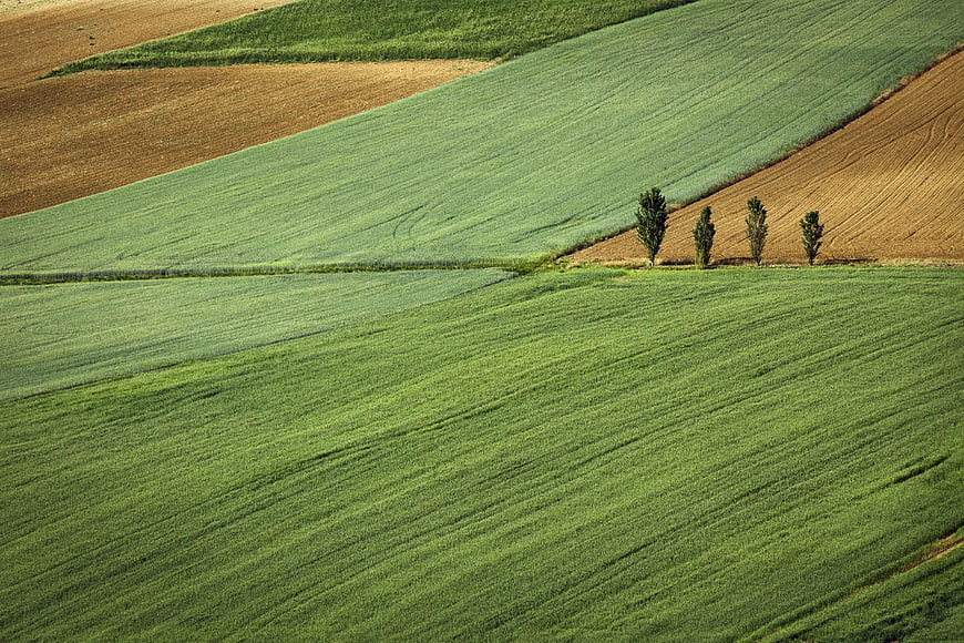Rolling Green Fields and Brown Farmland with Trees