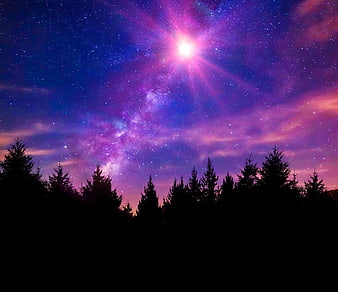 Vibrant Milky Way and Nebulae Over Silhouetted Pine Trees at Night