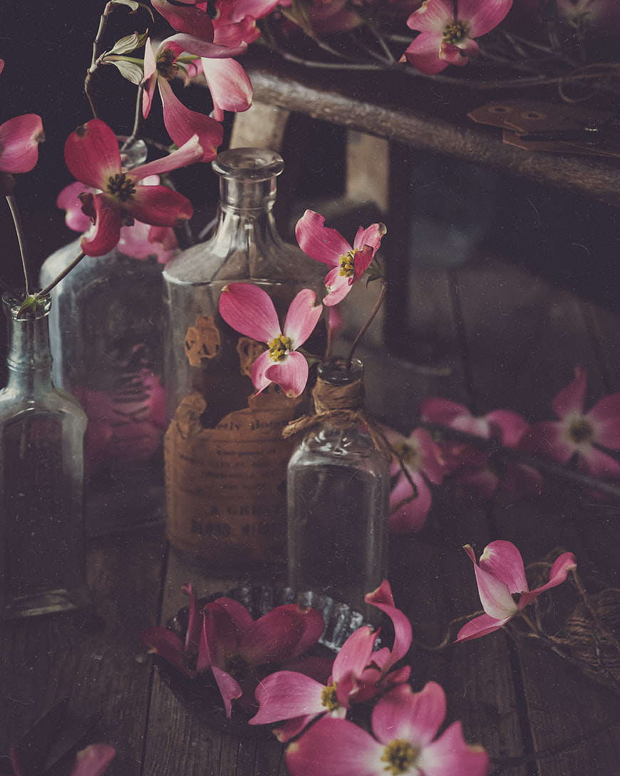 Vintage Apothecary Bottles with Pink Dogwood Flowers