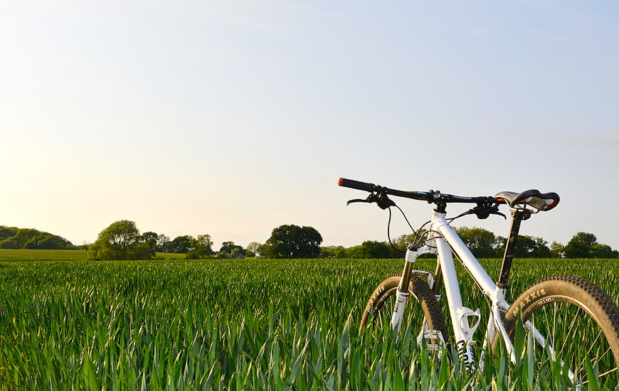 White Mountain Bike in Green Wheat Field at Sunset