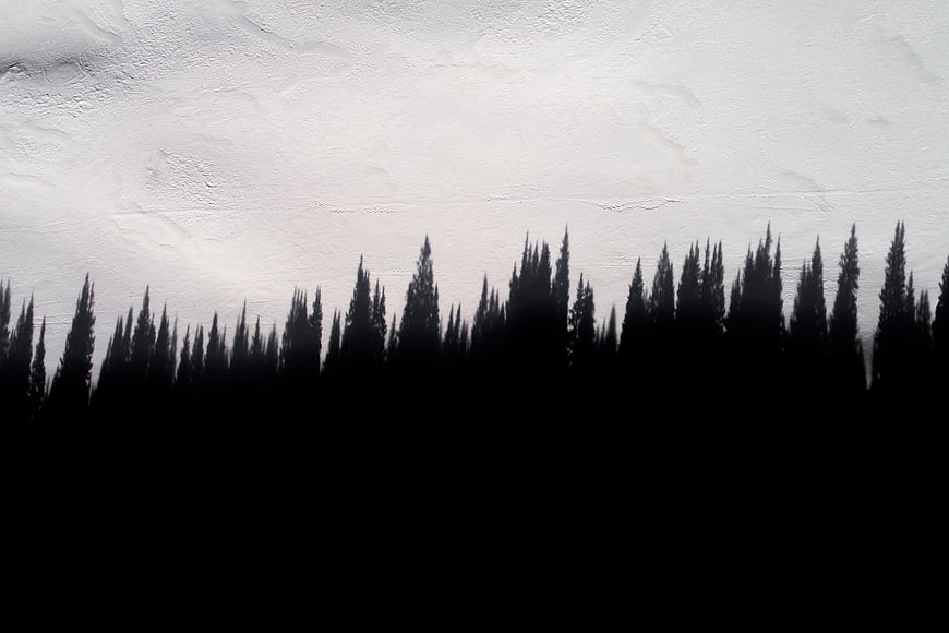 Silhouette of Cypress Trees Against Textured White Background