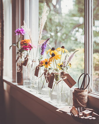 Colorful wildflowers in glass jars on a sunny windowsill