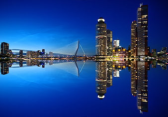 Rotterdam skyline with Erasmus Bridge at night