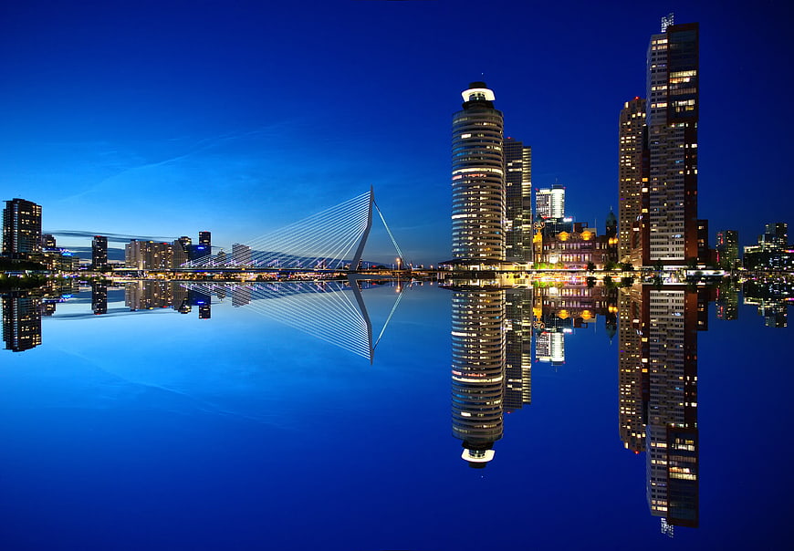 Rotterdam skyline with Erasmus Bridge at night