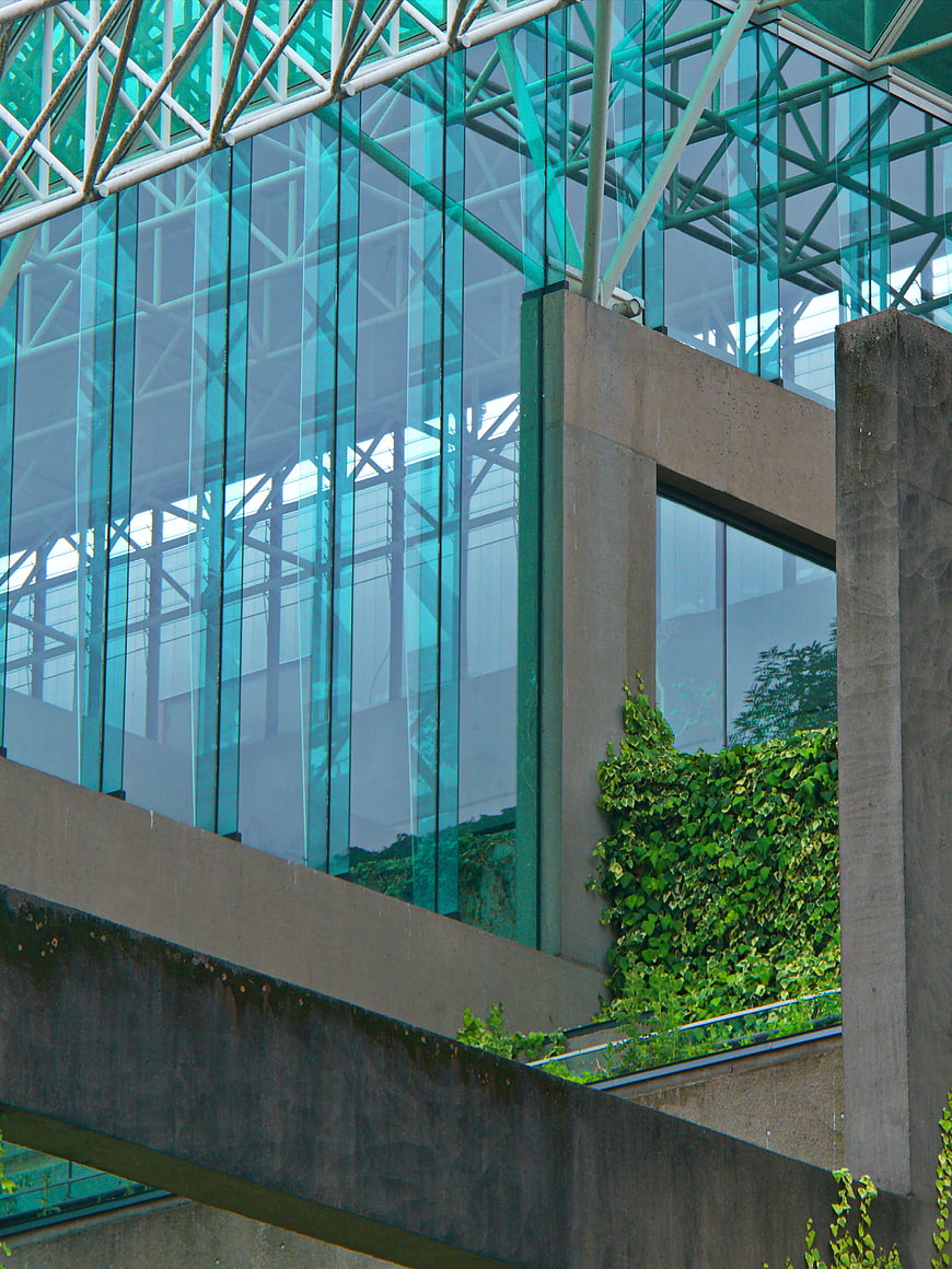 Modern glass and concrete building facade with green ivy