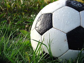 Close-up of wet soccer ball on green grass