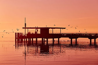 Silhouetted Pier at Sunset with Flying Birds