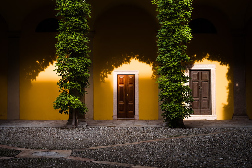 Sunlit yellow courtyard with ivy-covered columns and wooden doors