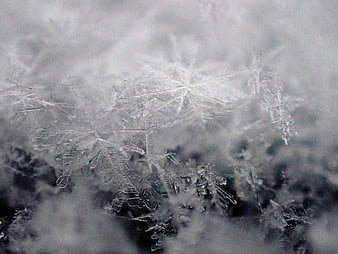Macro Close-Up of Intricate Snowflakes on Dark Background