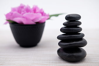 Black Zen Stones Stacked With Pink Peony Flower In Black Pot