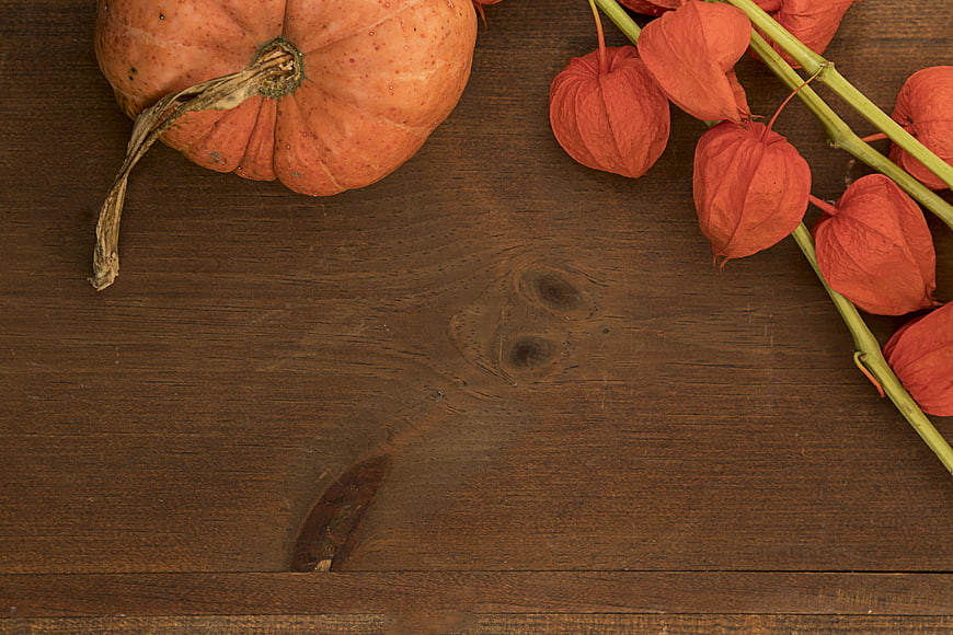 Autumn Pumpkin and Lantern Berries on Dark Wood Background