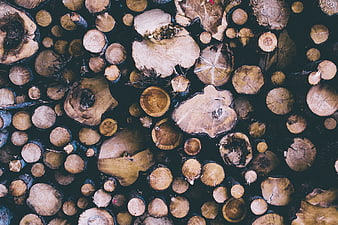 Top View of Stacked Cut Tree Logs and Wood