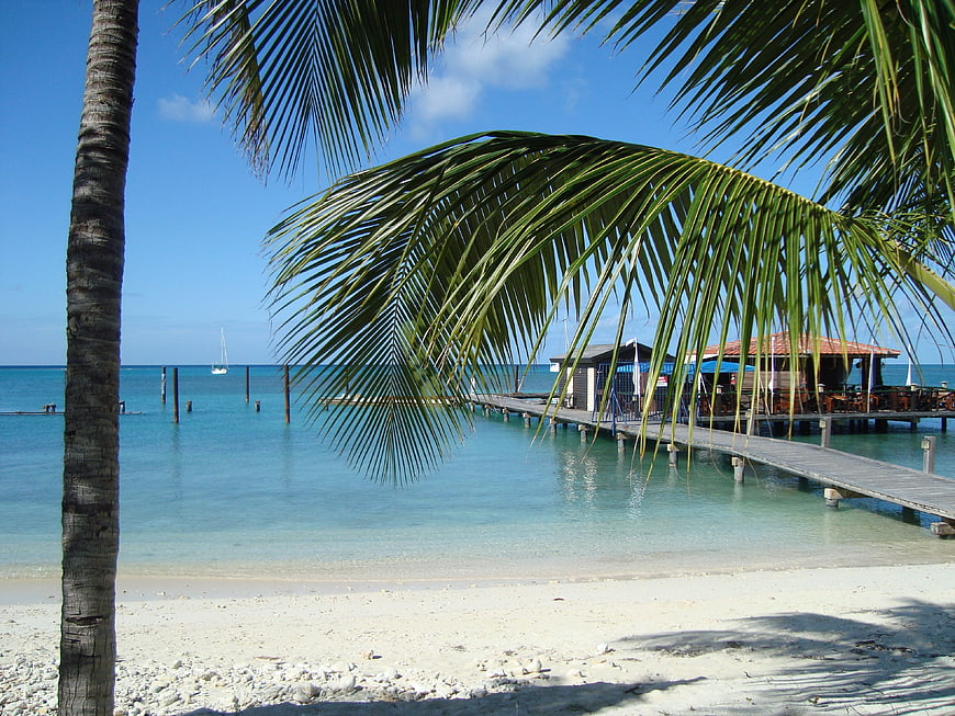 Tropical Beach with Palm Tree and Wooden Pier Over Turquoise Water