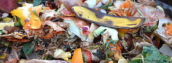 Close-up of mixed fruit and vegetable waste in a compost pile