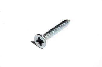 Single silver Phillips head wood screw isolated on white background