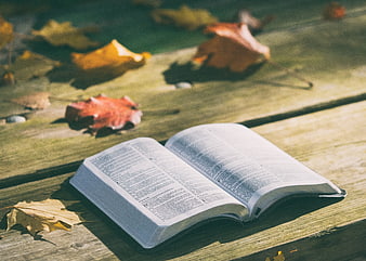 Open Bible on Wooden Table with Autumn Leaves