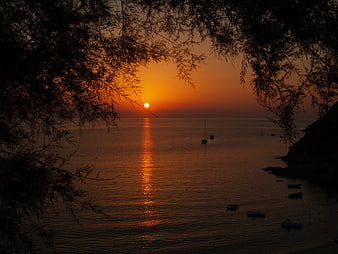 Silhouette of trees framing a vibrant orange sunset over calm sea