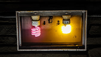 Two CFL light bulbs in a rusty metal box at night