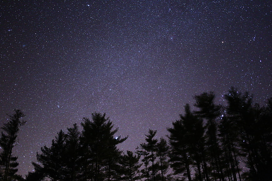 Starry Night Sky Over Silhouetted Pine Forest