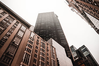 Low angle view of towering city skyscrapers against sky