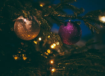 Close-up of Glittering Christmas Ornaments on Pine Branches
