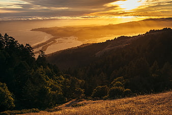 Golden Sunset Over Coastal Mountain Ridge and Forest