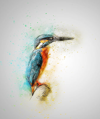 Watercolor Kingfisher Bird Art with Colorful Paint Splatter Background