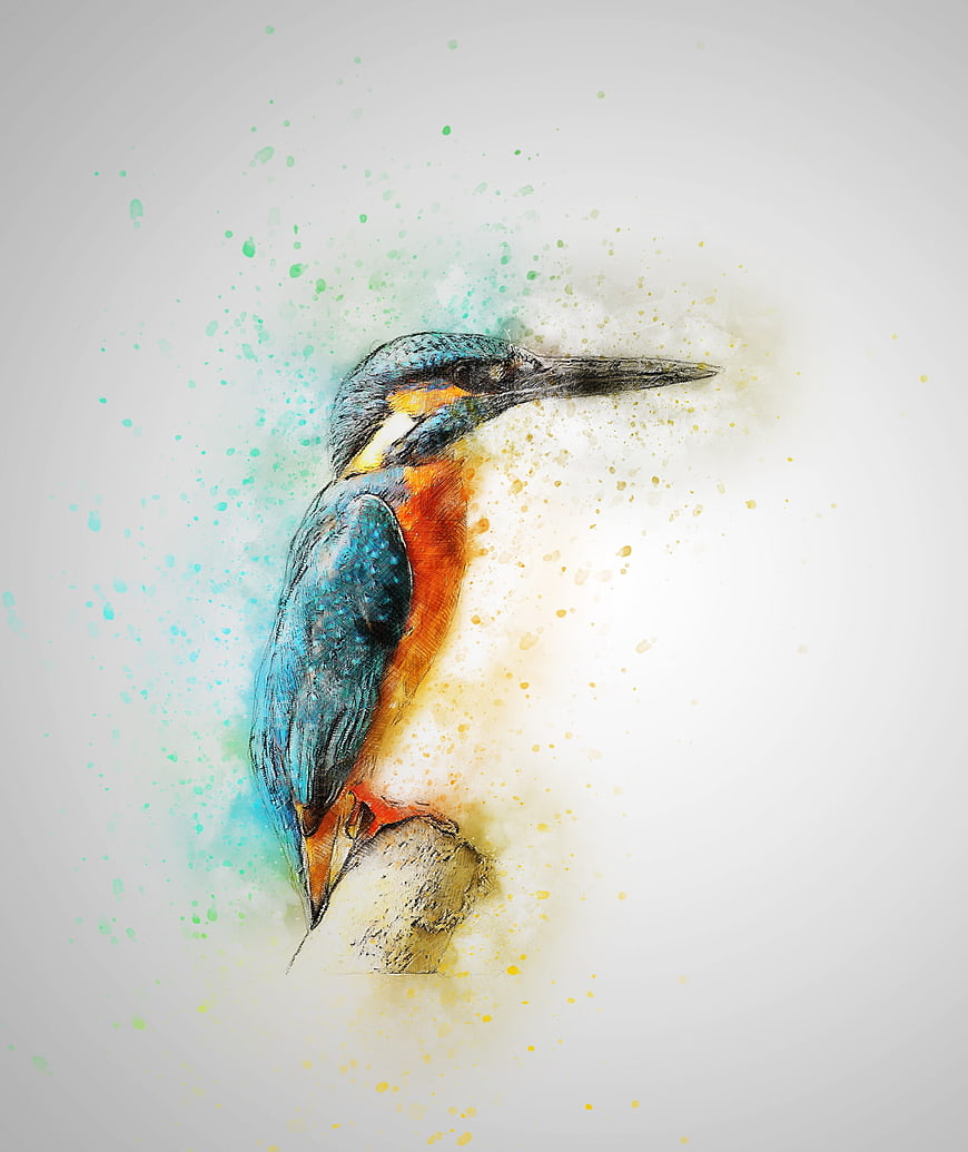 Watercolor Kingfisher Bird Art with Colorful Paint Splatter Background
