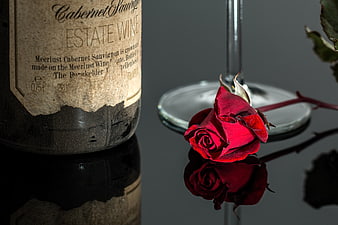 Vintage wine bottle and red rose on reflective surface