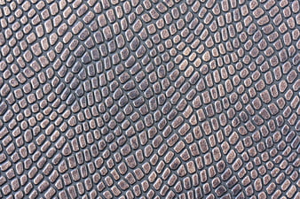 Macro Close-Up of Brown Snake Skin Texture Pattern