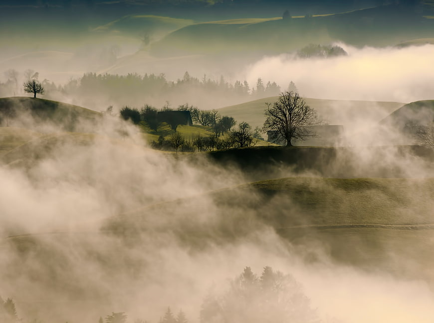 Misty rolling hills landscape with fog and trees