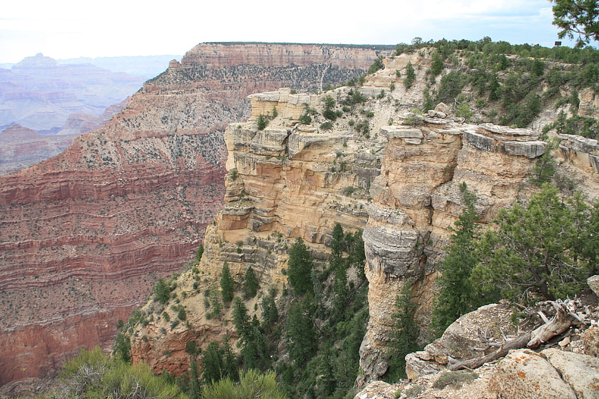 Grand Canyon landscape with layered red rock cliffs and pine trees